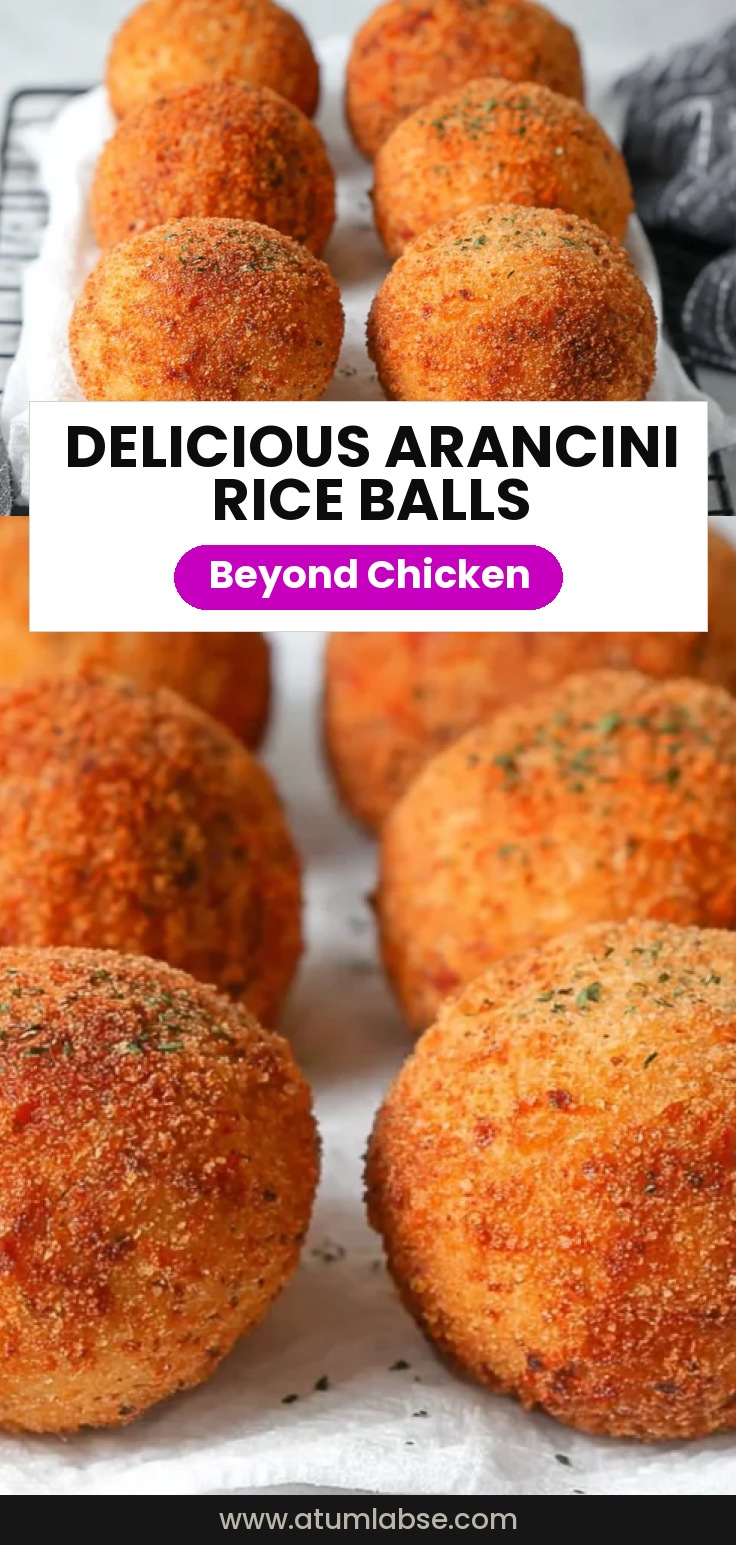 Arancini Italian Rice Balls